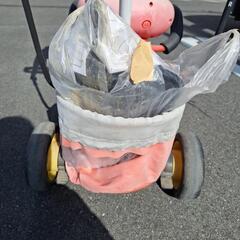 赤ちゃんバギー&家庭菜園の白菜（小）の画像