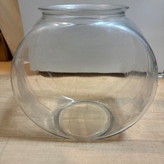 金魚鉢　ガラス製の画像
