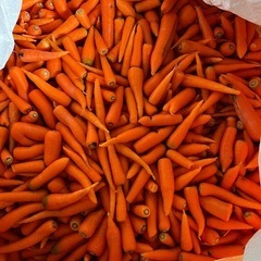 訳あり人参🥕詰め放題350円
