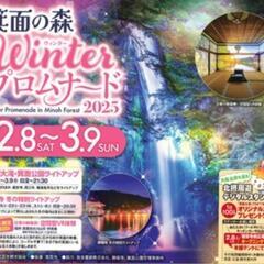 【イルミネーション☆彡】箕面の森Winter プロムナードに行き...