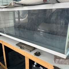 大型水槽値下げしました。の画像