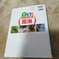 ほぼ未使用です　2021年　定価2000円　角川　昆虫　図鑑の画像