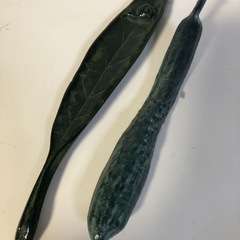 天)南部鉄器 文鎮  ぶんちん　ペーパーウェイト　カタツムリ きゅうり  2点セットの画像