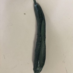 天)南部鉄器 文鎮  ぶんちん　ペーパーウェイト　カタツムリ きゅうり  2点セットの画像