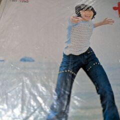 （中古EPレコード）情熱の嵐−西城秀樹