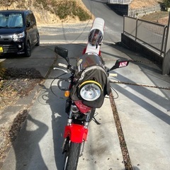 vtz250の画像