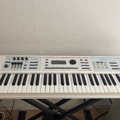 Roland juno-DS