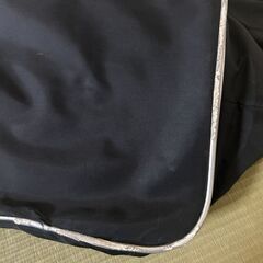 ★中古品★【アディダス】上下２段 adidas クーラーバッグ 保冷トート 大きめ 自立の画像