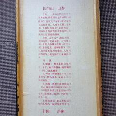 高級 高麗人参 根 乾燥保存の画像
