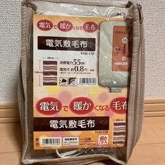 【お譲り先決まりました】電気敷毛布【中古】