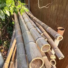 取り放題！竹 国産 大量にありますの画像