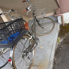 決まりました！ロココ自転車の画像