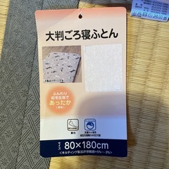 ごろ寝布団　80*180cmの画像