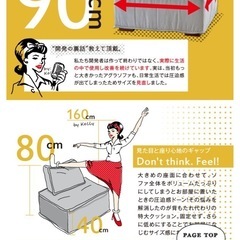 2-4人掛けソファー【アグラカクソファ】の画像