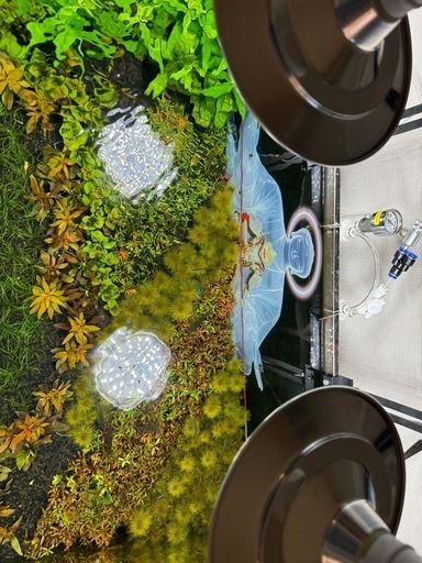 水草灯とスタンド90cm-150cm水槽用