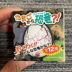 【新品・未使用】たまごから恐竜？！　人気