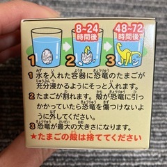 【新品・未使用】たまごから恐竜？！　人気の画像