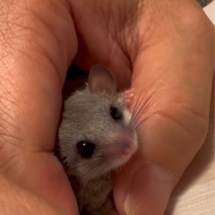 ペット好きな方々の交流会を開催しています。