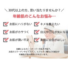 定価：11.000円　REVIVAL ヒト幹細胞エキス 保湿クリーム50gの画像