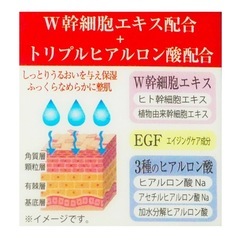 定価：11.000円　REVIVAL ヒト幹細胞エキス 保湿クリーム50gの画像