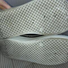 女性用スニーカーの画像