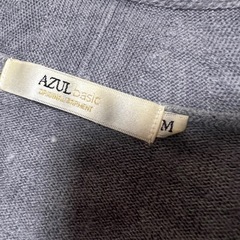 AZUL 薄手　ニット　Mの画像