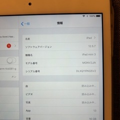 iPad mini3の画像