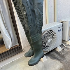 胴長
