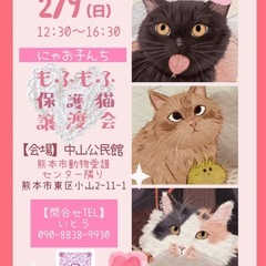 🩷もふもふ🧡ほご猫譲渡会🐈‍⬛こたつでまったり触れ合えます🩷