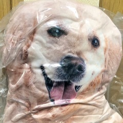 【全長約70cm】リアル犬クッション　ゴールデンレトリーバーの画像