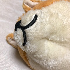 柴犬　わん太　添い寝ぬいぐるみ　約83cmの画像