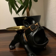 フレンチブルドッグ　装飾トレイ　卓上小物入れ　の画像