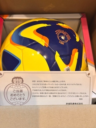 ガンバ大阪 2025レプリカユニフォーム 半袖 O-XO 山田康太グッズセット Kemari87 KISHISPO / ガンバ大阪 2024 ホーム 半袖レプリカ