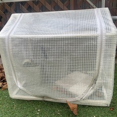 外猫用ビニールハウス