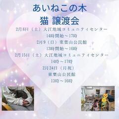 保護ニャン🐾御縁🩷繋ぐ譲渡会😺