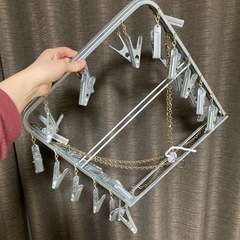 ピンチハンガー　ステンレスの画像