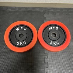 WFG　5キロプレート２枚