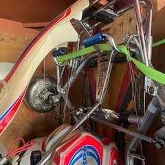 2013 ZANARDI ザナルディ(KZ2)  ROTAX MAX125
 の画像