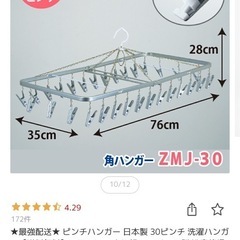 ピンチハンガー　ステンレスの画像