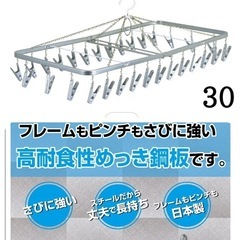 ピンチハンガー　ステンレスの画像