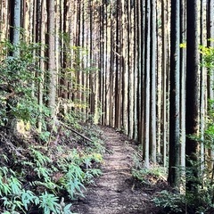 2月23日(日)京都ハイキングツアー五山送り火船山へ - 京都市