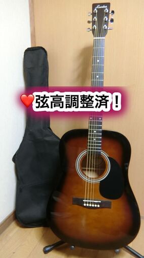 ❤️弦高調整済！「Lumber ランバー LDG-10TS」＋おまけケース