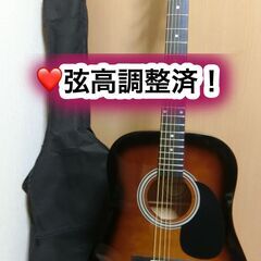 ❤️弦高調整済！「Lumber ランバー LDG-10TS」＋お...