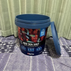 ⚠️バケツのみ　今月中処分の画像