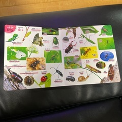 はじめてずかん　これなーに？650の画像