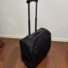 キャリーバックの画像