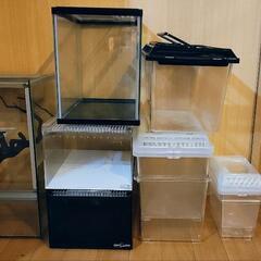 爬虫類、昆虫、ケージ