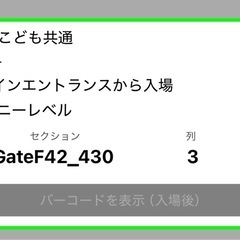 キングス観戦チケット