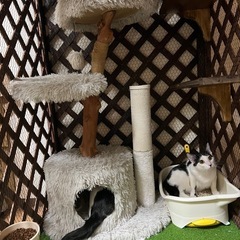 何でもご相談下さい😁見積もり無料！！