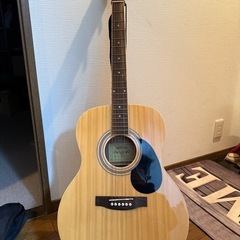 Honey bee f-15nギター